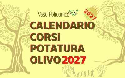 Calendario corsi potatura olivo 2026/2027 con didattica Vaso Policonico