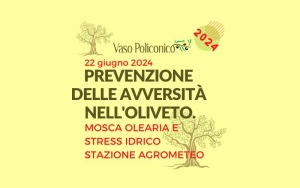 Prevenzioni in oliveto contro la mosca olearia